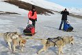 Dog sledding (15)